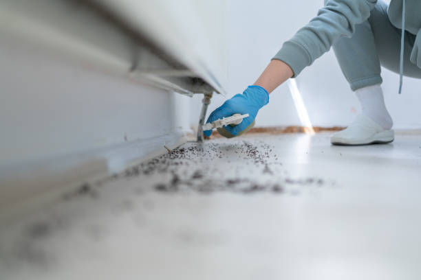 Pest Prevention Services in Dillsburg, PA